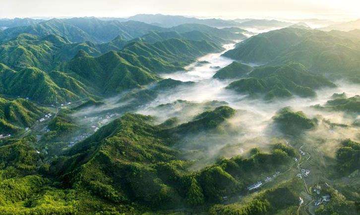 落实垃圾分类，依托科技创新，实现绿色发展