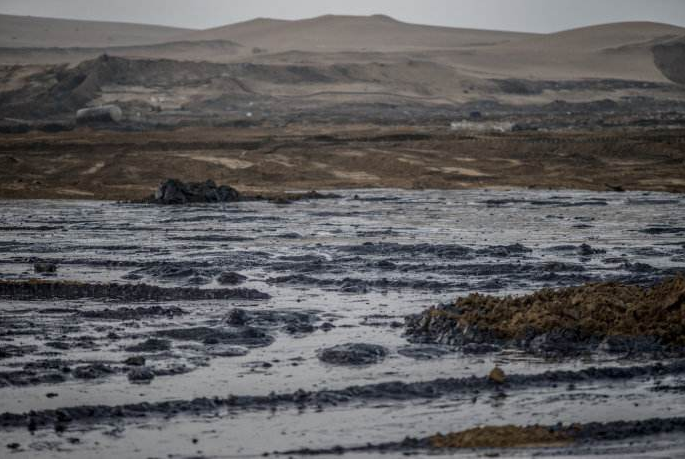 关注丨环？萍：打开土壤修复5万亿市场的金钥匙