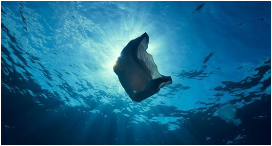 ag贵宾厅环保：引领“塑料回收”新时代，助力解决塑料污染